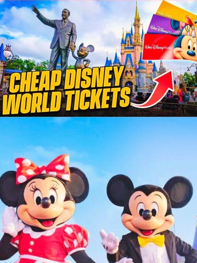 WALT DISNEY WORLD RESORT TICKET